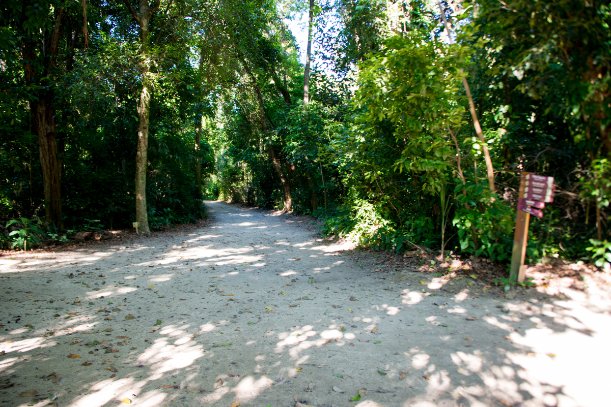 UM TOQUE NO SEU OLHAR ARIANE SCHMITZ TATIANA VIEIRA