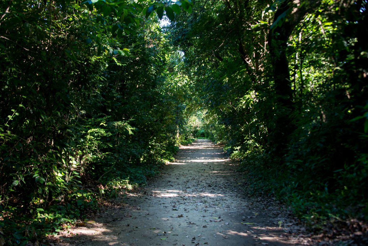 UM TOQUE NO SEU OLHAR ARIANE SCHMITZ TATIANA VIEIRA