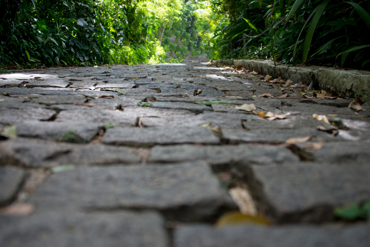 UM TOQUE NO SEU OLHAR ARIANE SCHMITZ TATIANA VIEIRA