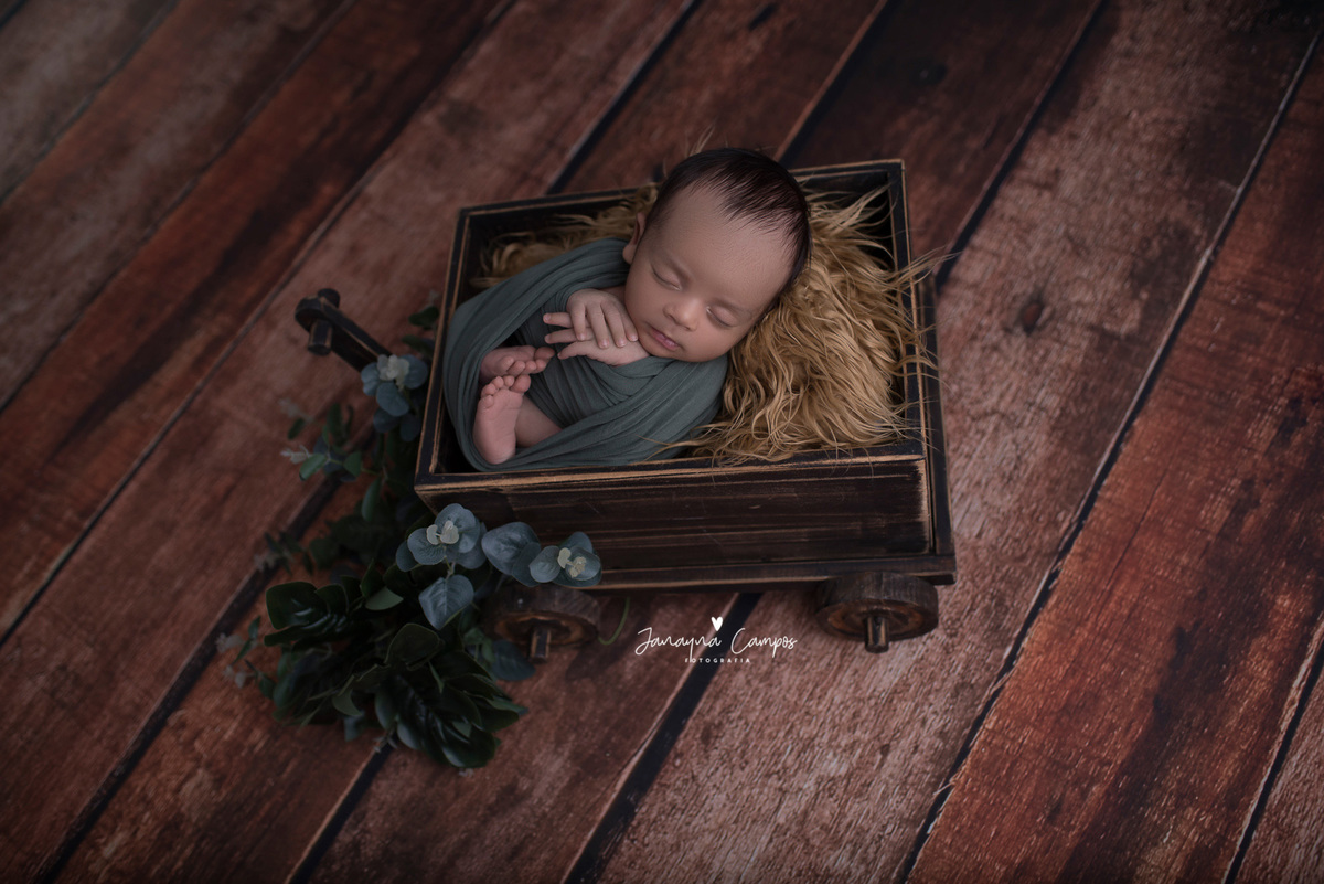 Newborn com folhagens 