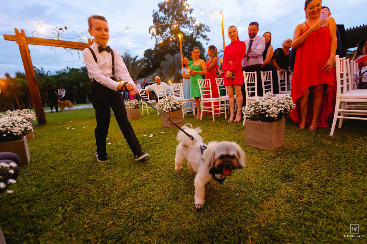 cachorros novinhos pagem