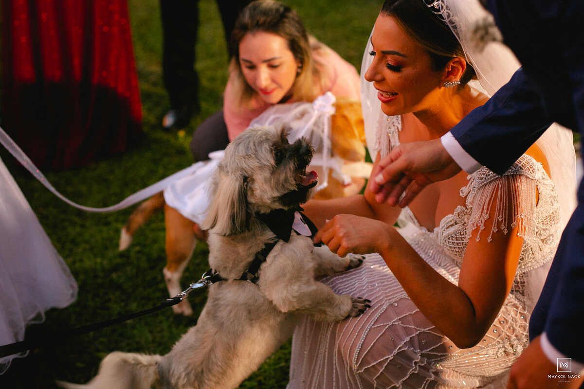 cachorros novinhos pagem