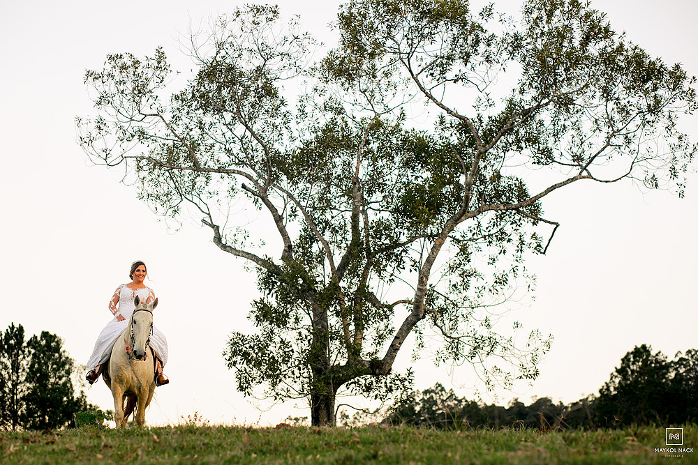 cavalos na serra para fotografar