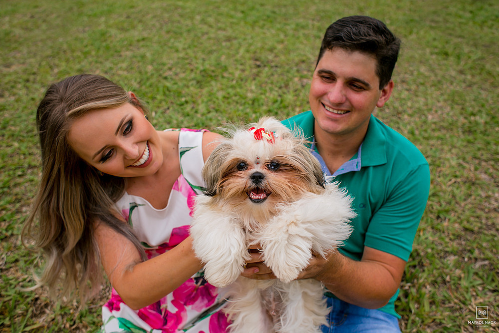 ensaio com cachorro