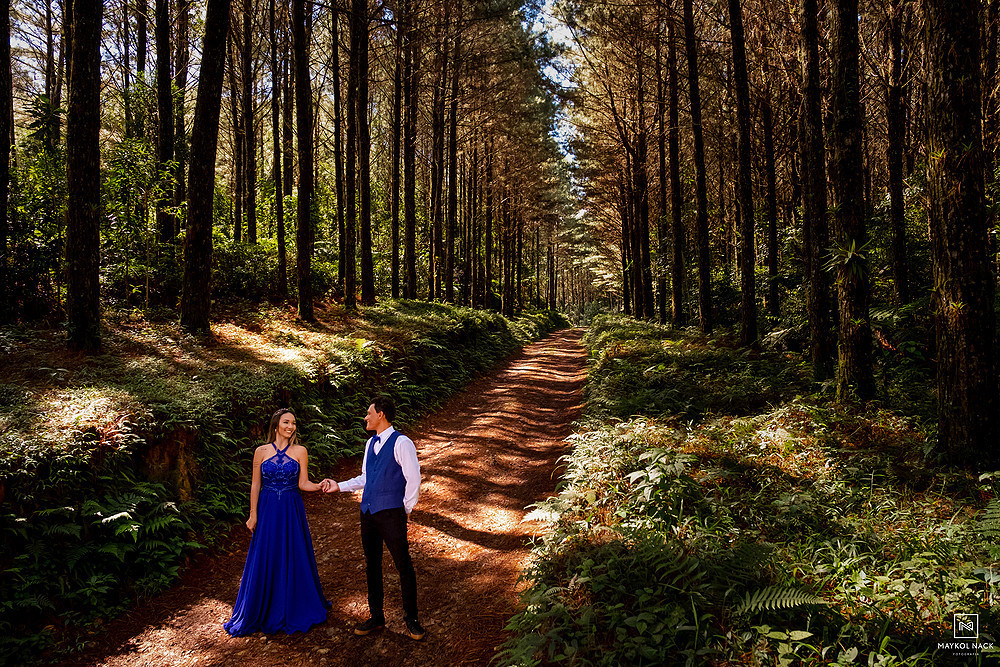 restaurante rio manso pinus