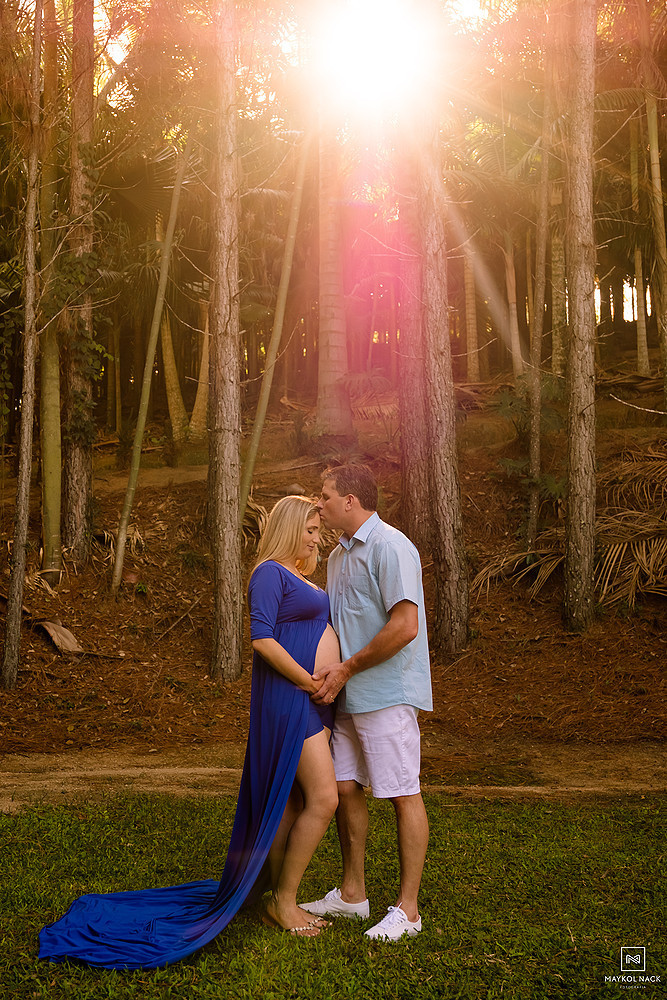 pinheiral braço do norte