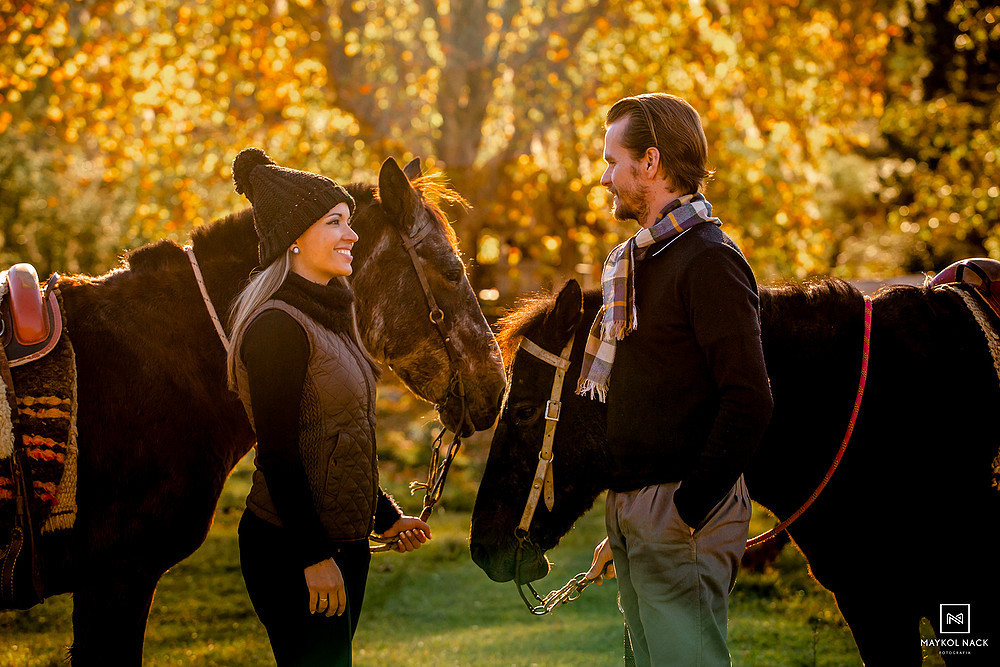 book de casal com cavalos