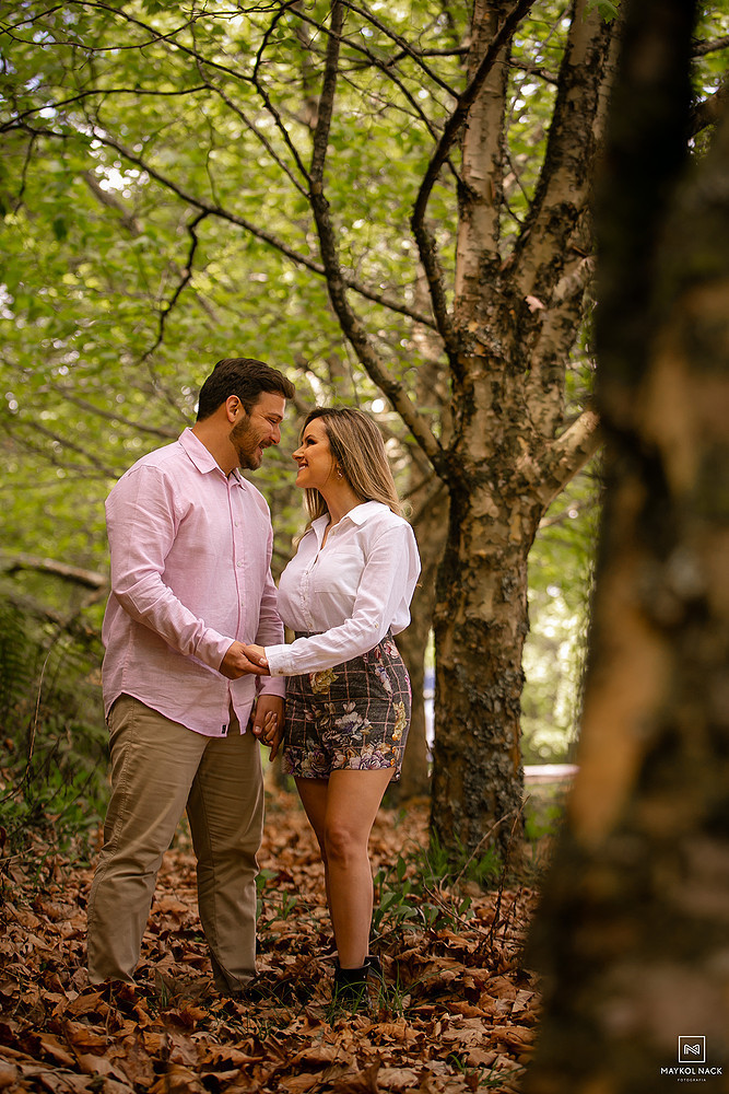 fotos serra do rio do rastro