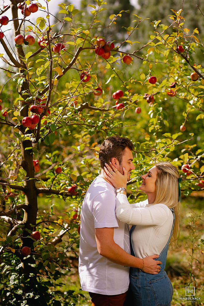 fotos pré-casamento pés de maçãs