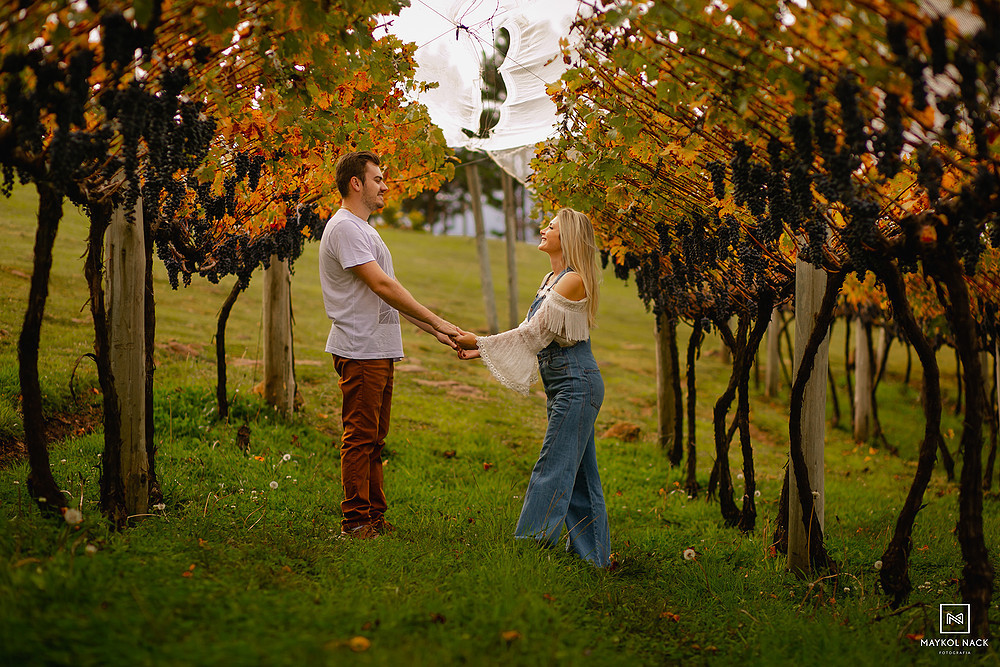 vinhedos monte agudo