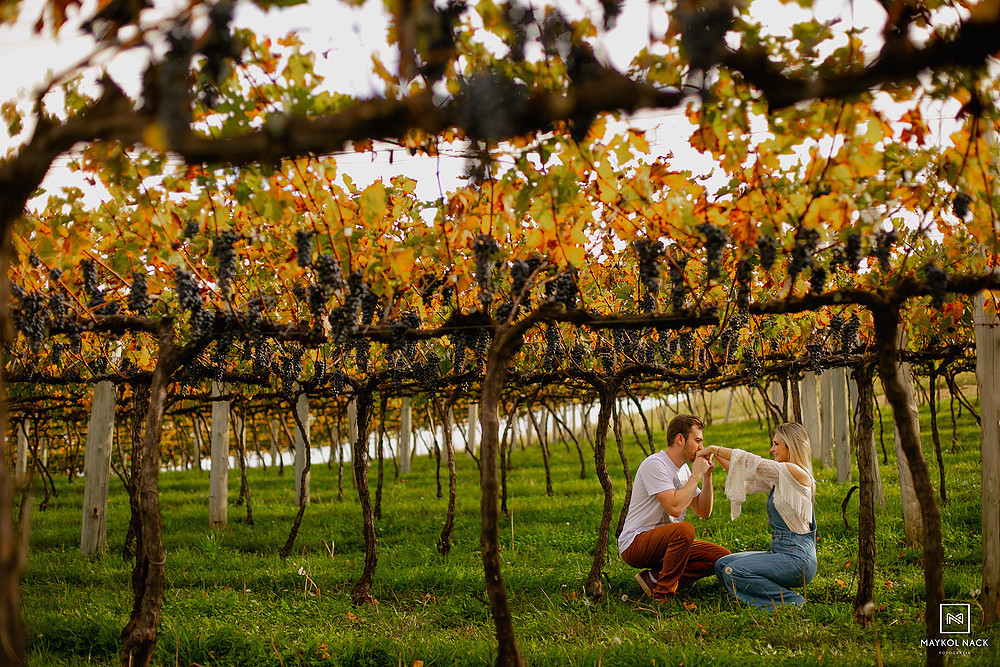 ensaio no vinhedos monte agudo