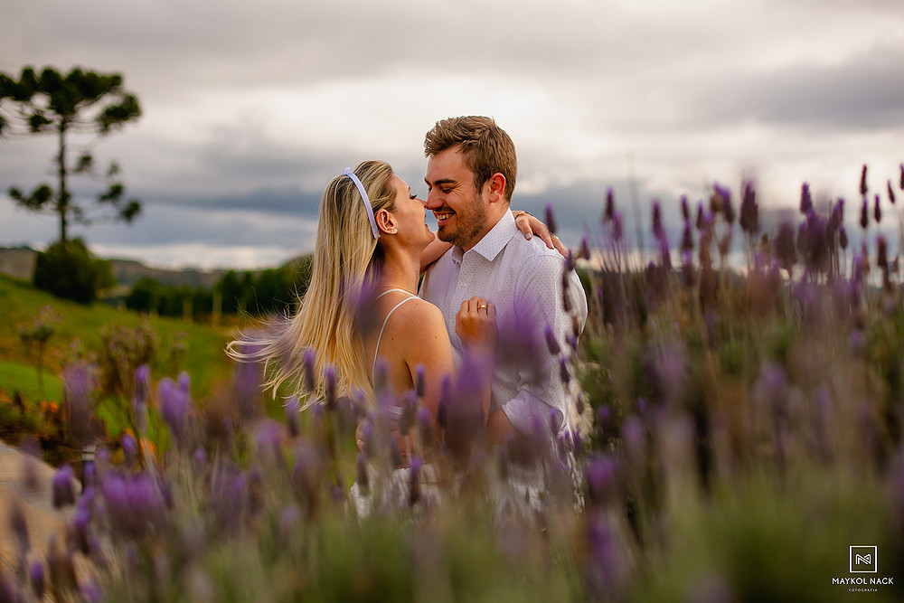 vinhedos monte agudo lavandas