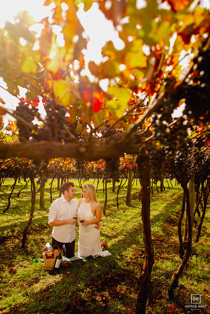 vinhedos monte agudo final de tarde