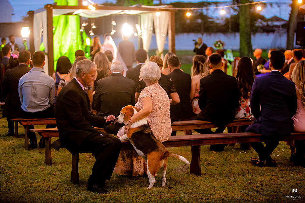 lugar para casar com cachorros em tubarão