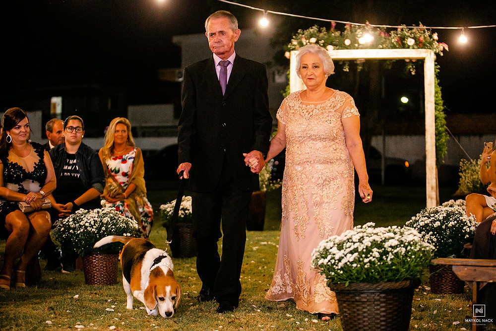 cachorro levando alianças em tubarão