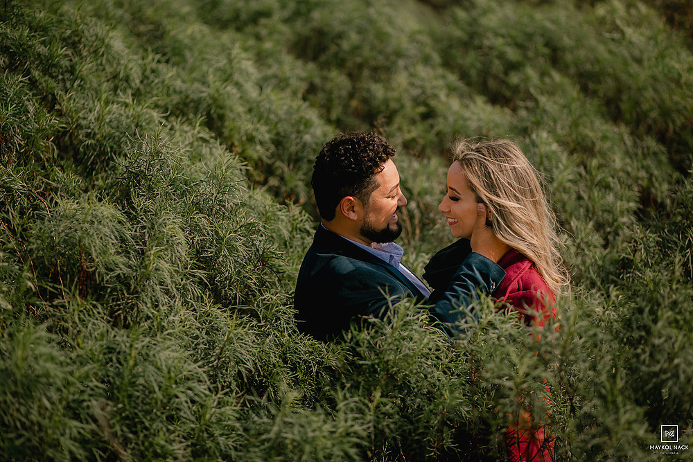 album de ensaio na serra do rio do rastro