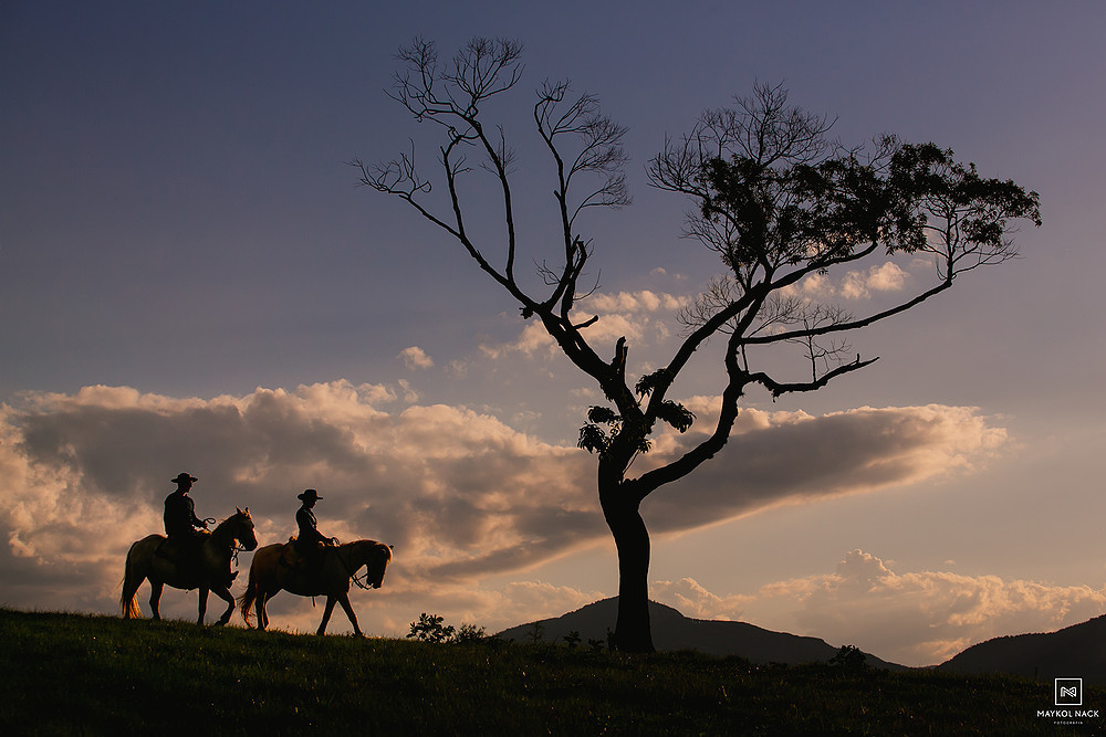 book de casal com cavalos