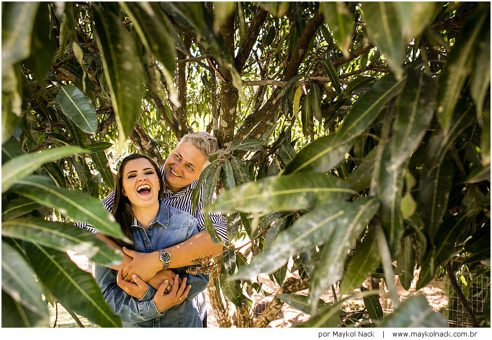book para o casamento