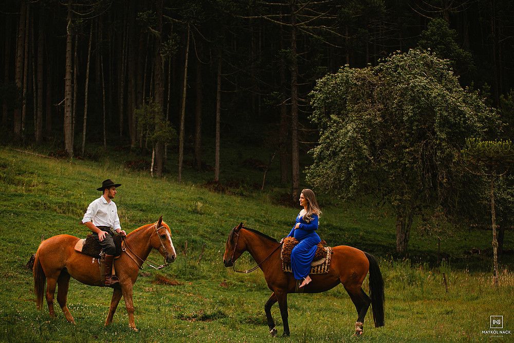 cavalos na serra do rio do rastro para ensaio