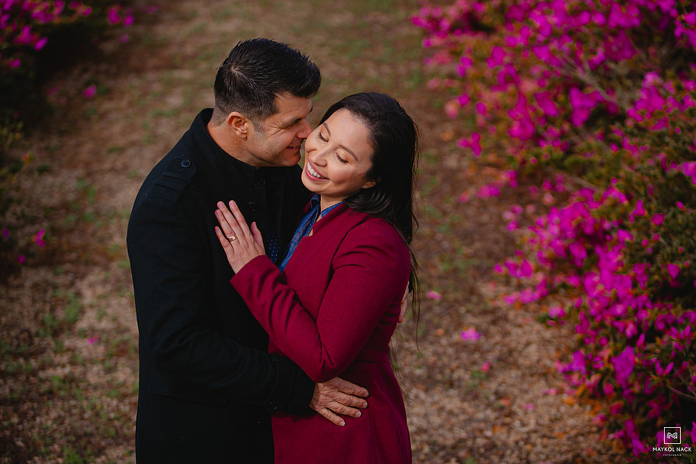 fotos com flores em santa catarina