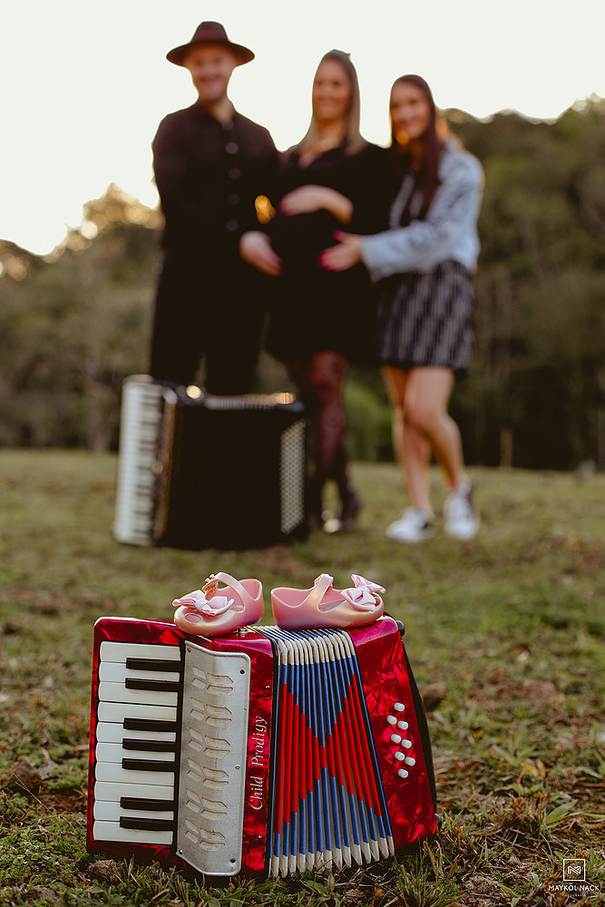 família com gaita sanfona