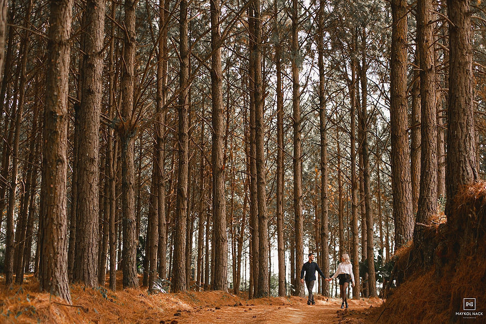 fotógrafo de santa catarina