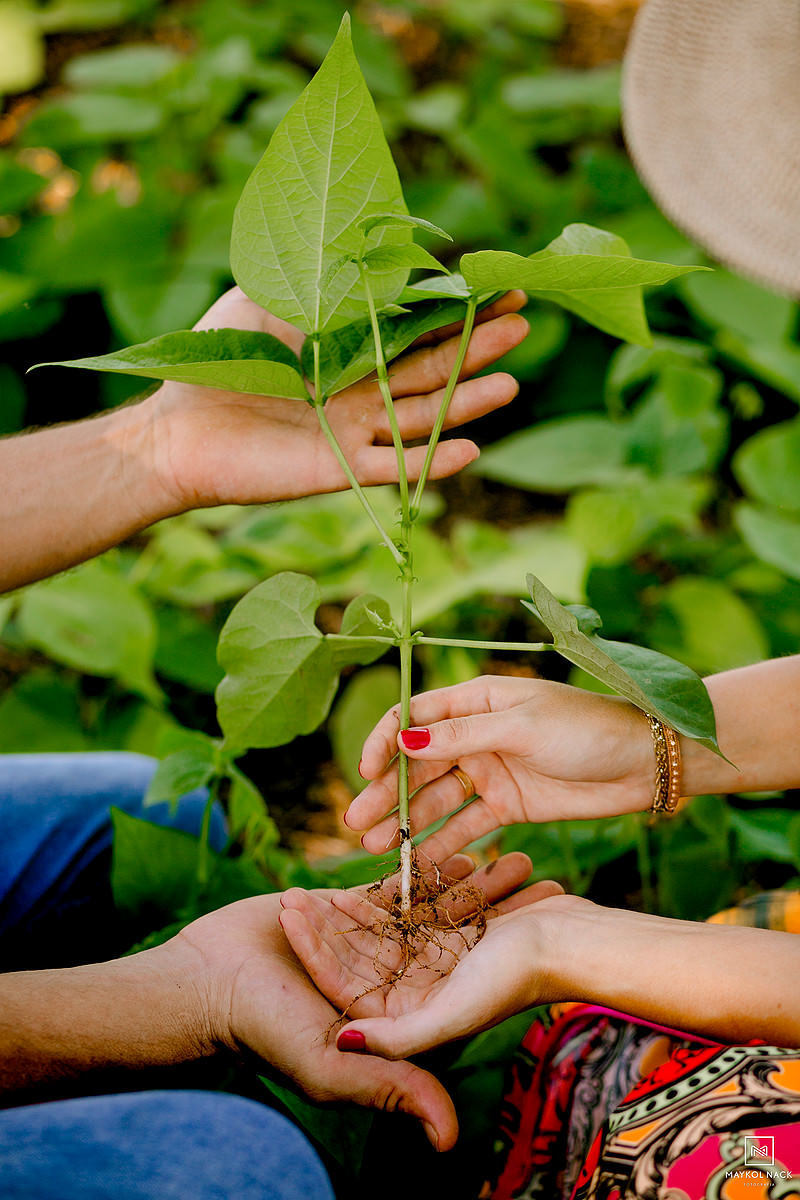 fotos pré-casamento agronomia