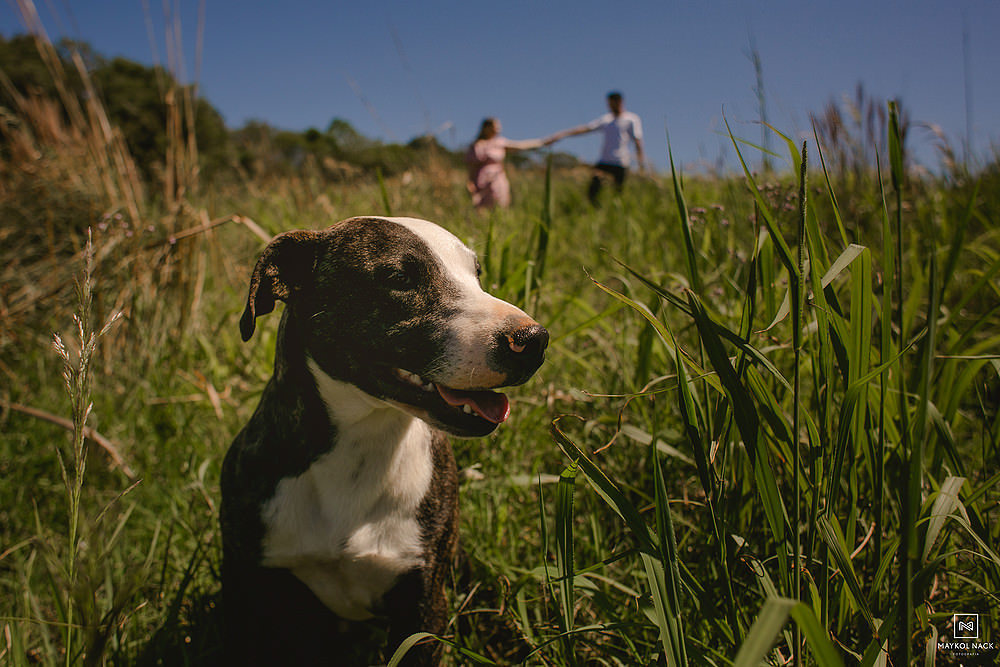 pre-wedding treze de maio