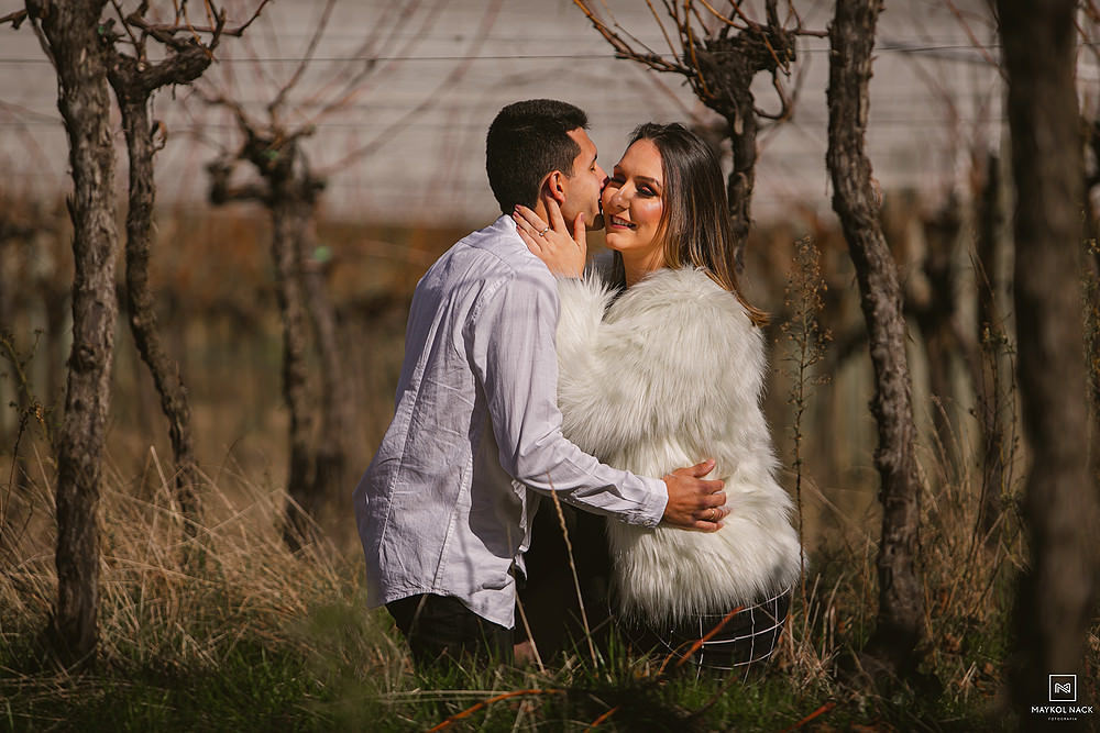 vinicola villa francioni fotos de casal