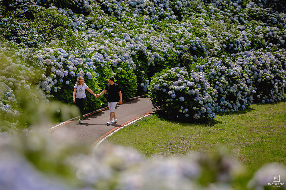 casal no meio das hortensias