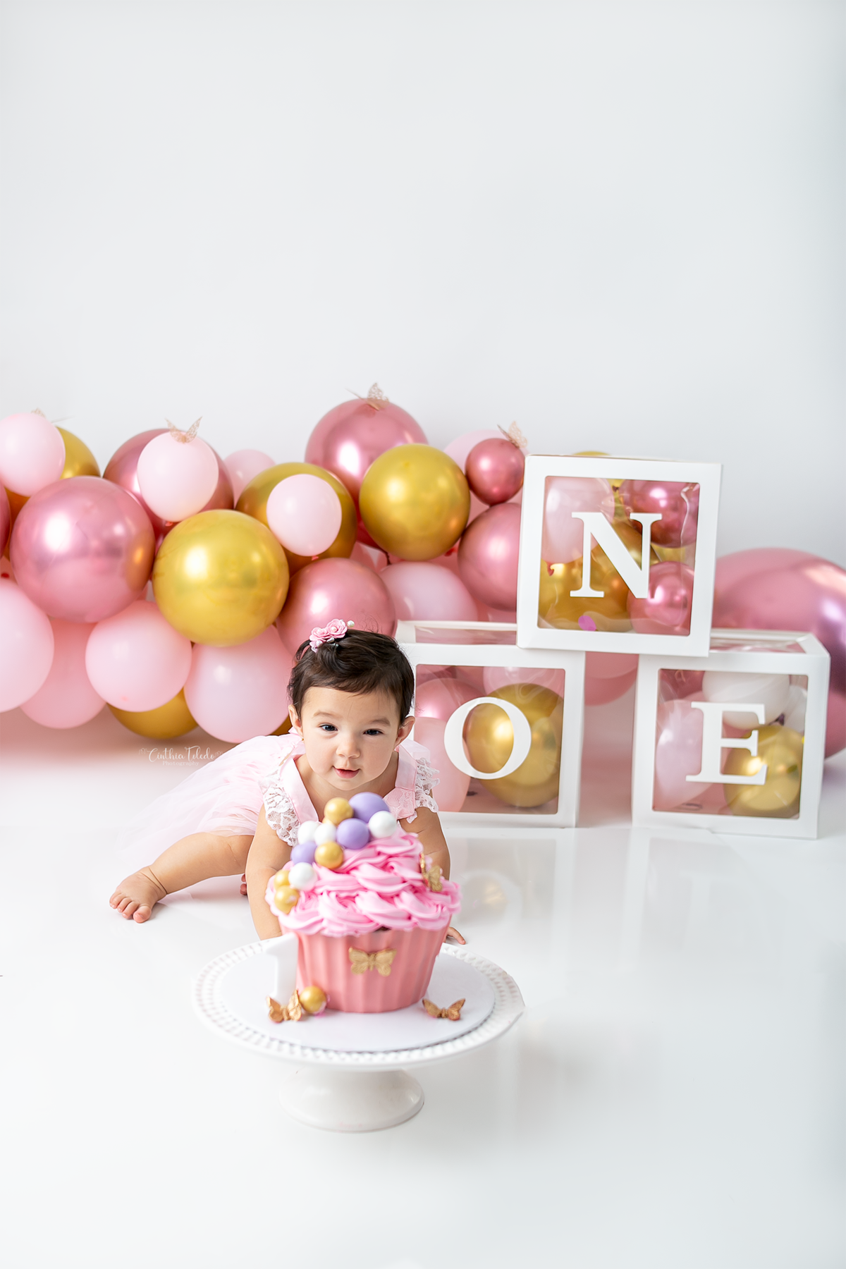 ensaio fotografico de cake Smash  de 1 aninho, fotografado por Cinthia Toledo Photography em Malden- MA. 