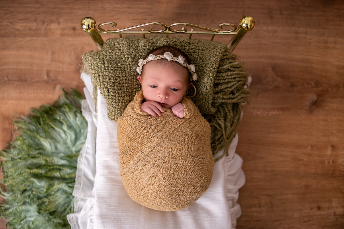 Cinthia toledo, Malden- Massachusetts, sessão newborn, ensaio newborn, fotografia Newborn, caminha