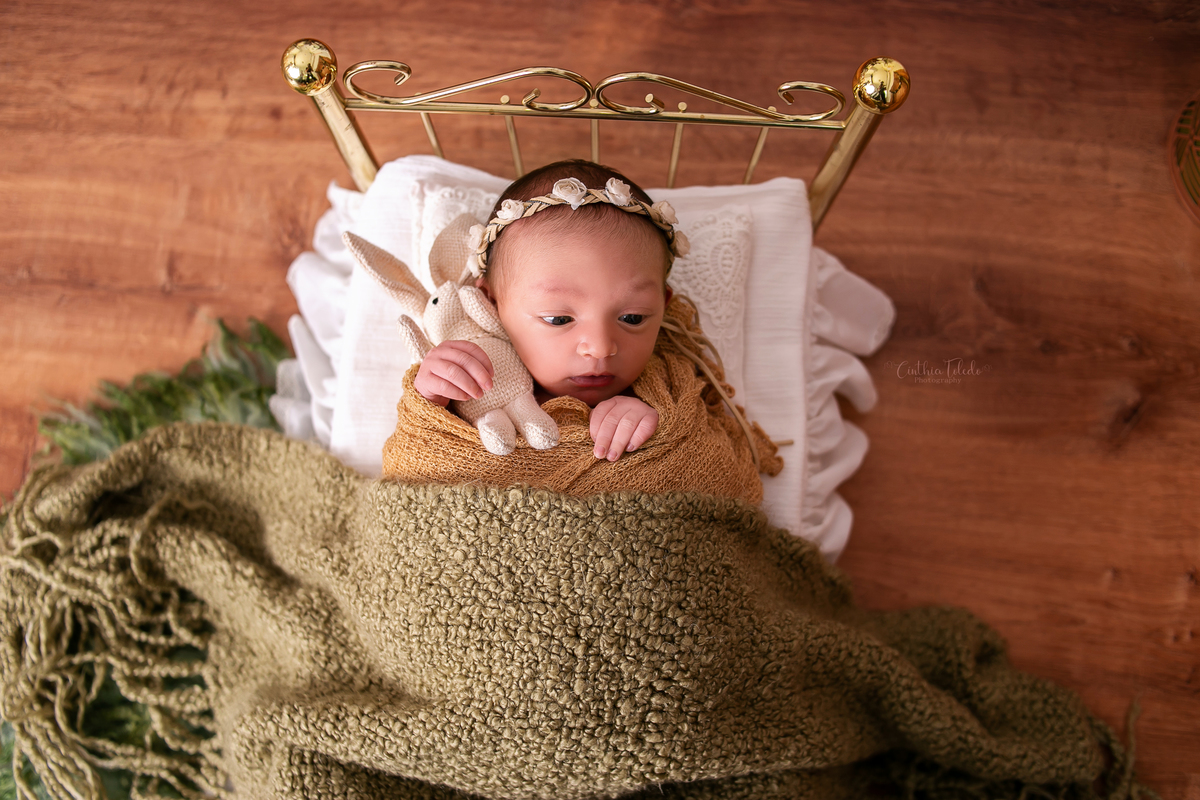Cinthia toledo, Malden- Massachusetts, sessão newborn, ensaio newborn, fotografia Newborn, caminha