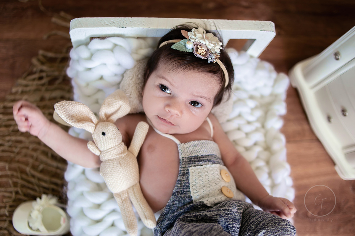 Cínthia Toledo fotógrafa, Malden-MA, fotografa de newborn, ensaio newborn, newborn photography
