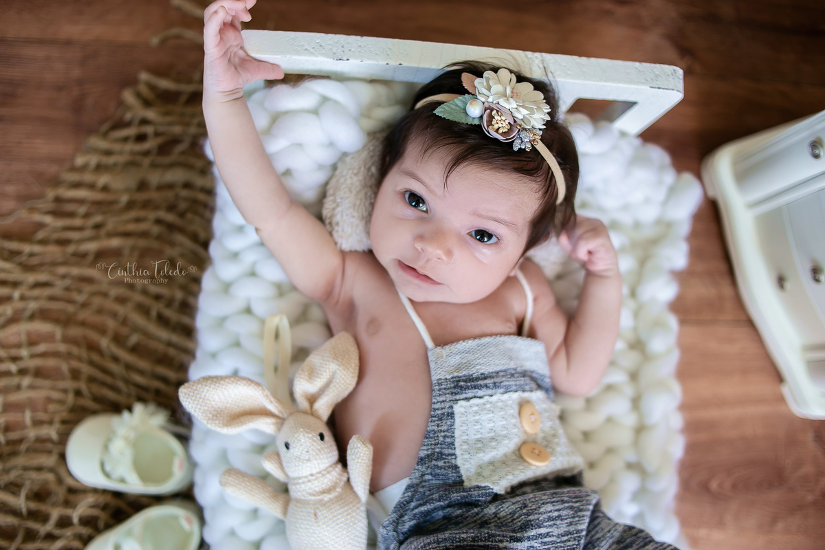 Cínthia Toledo fotógrafa, Malden-MA, fotografa de newborn, ensaio newborn, newborn photography