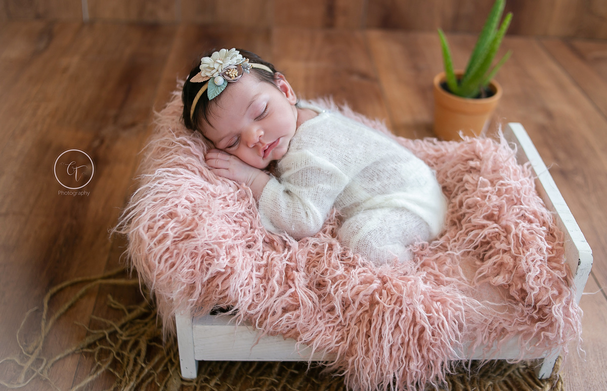 Cínthia Toledo fotógrafa, Malden-MA, fotografa de newborn, ensaio newborn, newborn photography, newborn na caminha