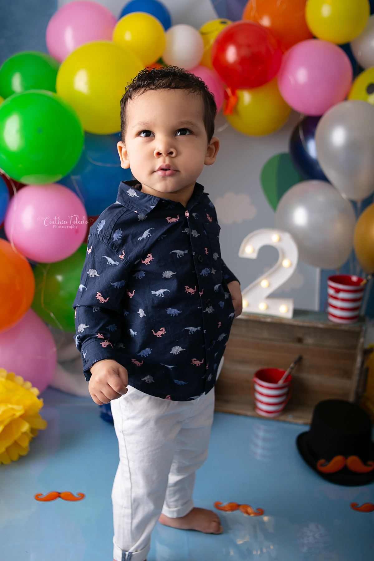 Cínthia Toledo, fotógrafa de família, fotógrafa de newborn e babys, cake smash, smash the cake, 2 anos, ensaio infantil, fotografia de bebês, babys, Malden-MA, 
