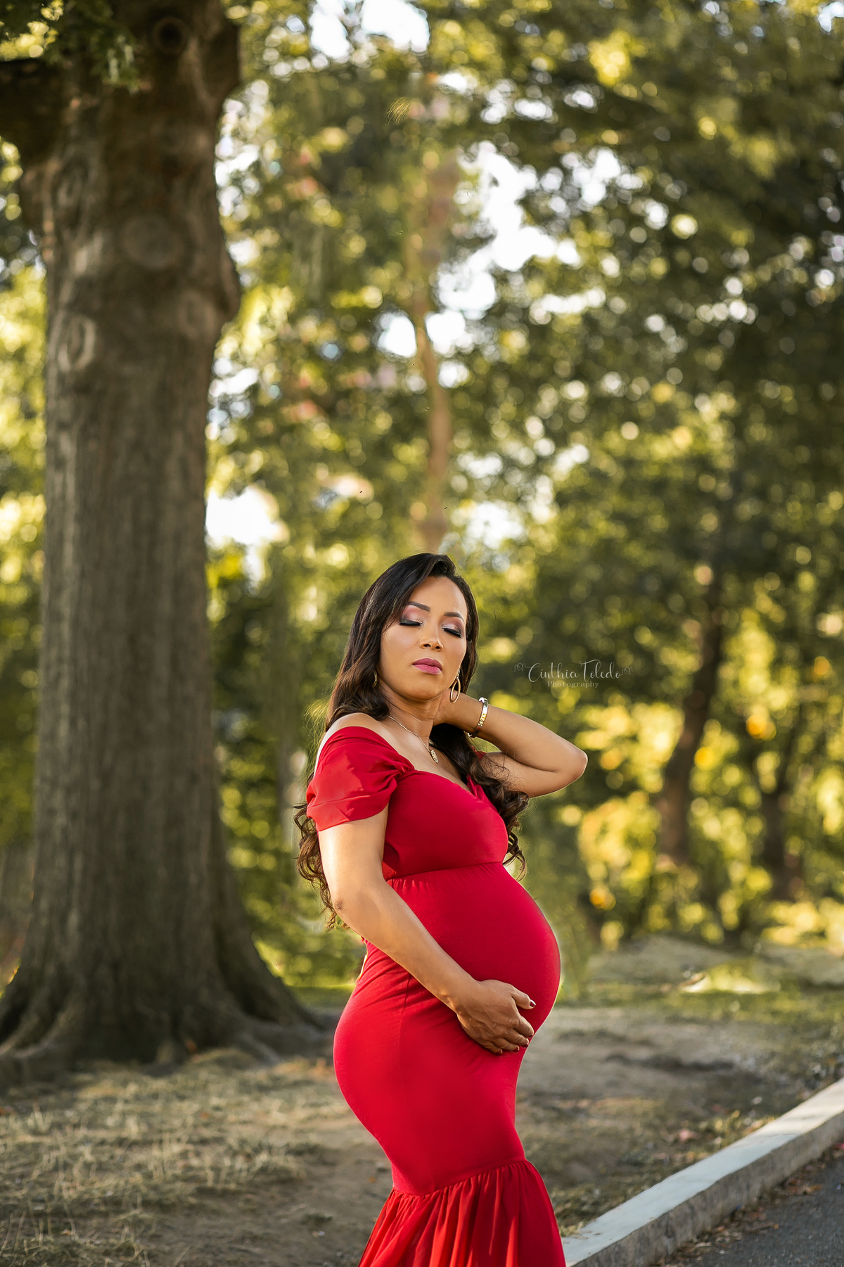 ensaio fotográfico gestante realizado no park street de Boston-MA, fotógrafa Cinthia Toledo Fotografia, fotógrafa de Gestante e Família em Massachusets. Pregnancy, maternity, vestido vermelho