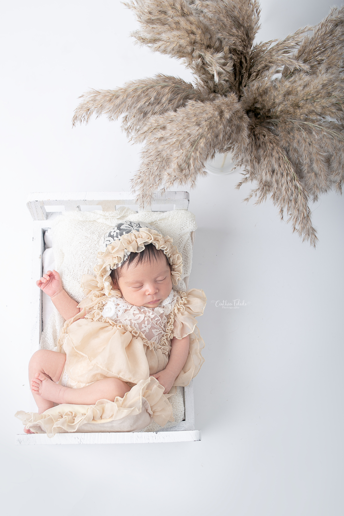 Ensaio fotográfico de Newborn / recém-nascido realizado em home-studio, localizado em Malden-MA, fotografado pela fotógrafa Cinthia Toledo Photography/fotografia. foto newborn na caminha de barriga para cima com fundo branco.