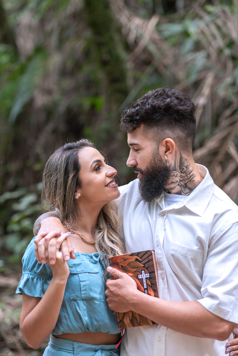 Enlace no parque nacional do iatiaia
