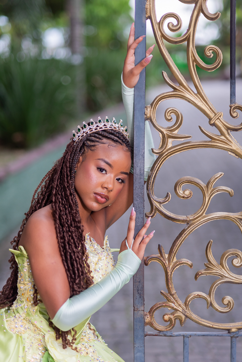 Portal da princesa e o sapo