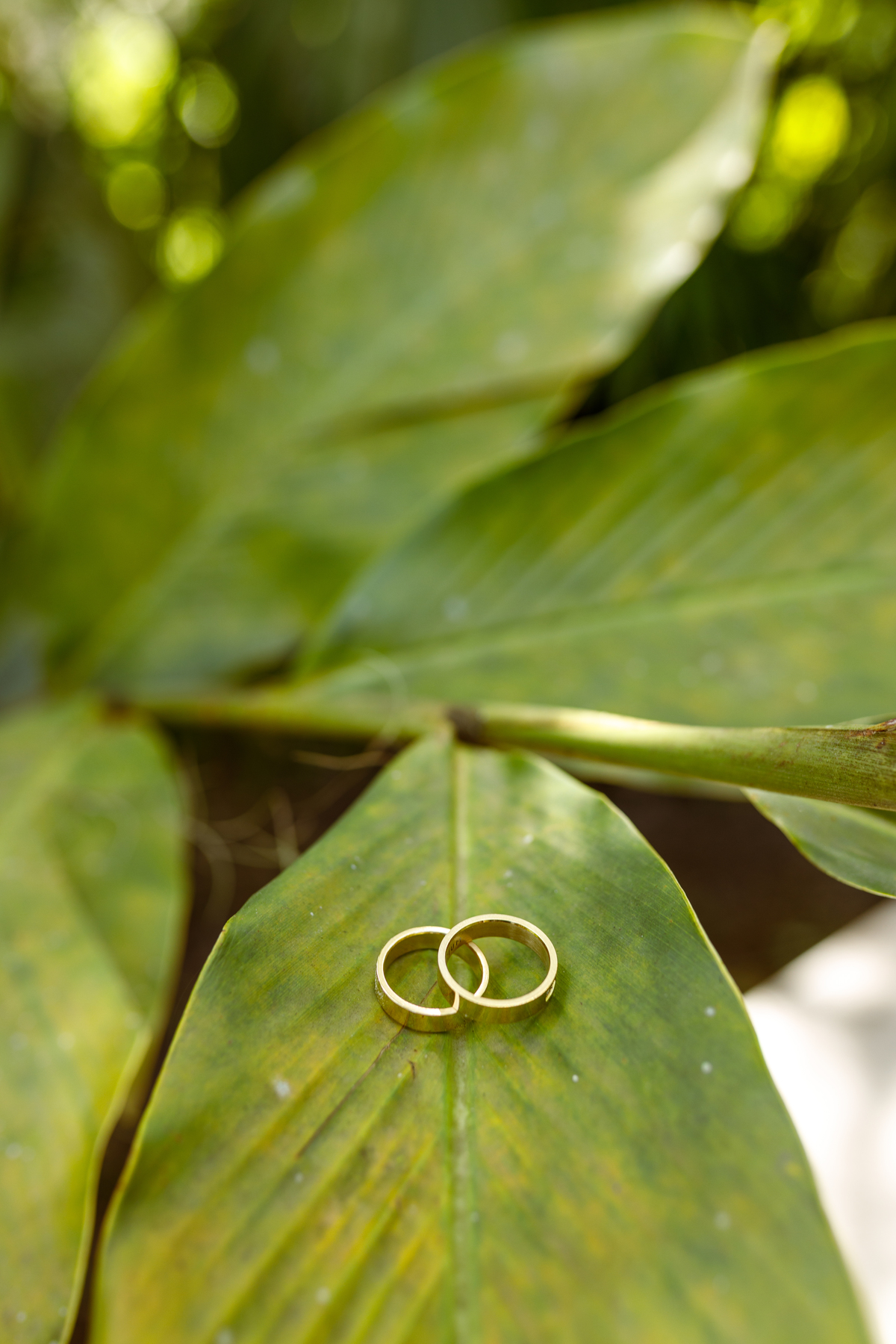 Aliança dos noivos.