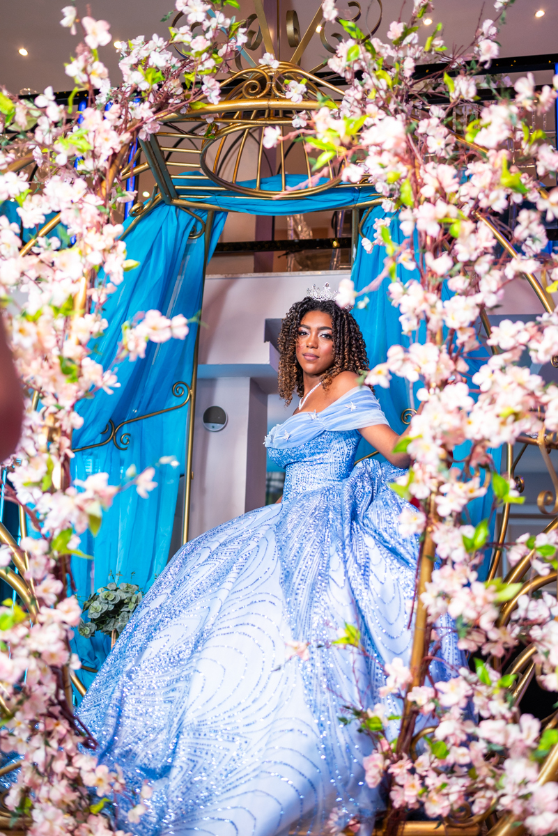 Inspiração fotos debutante carruagem