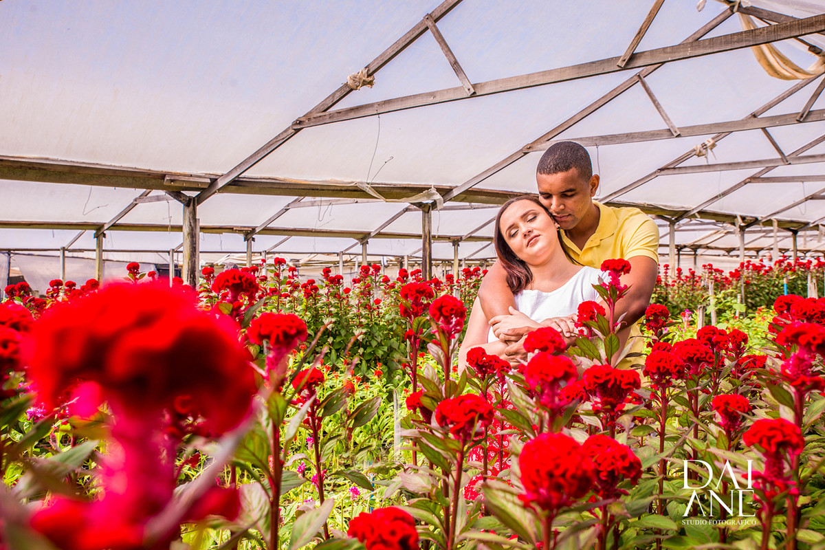 ensaio em holambra cidade das flores