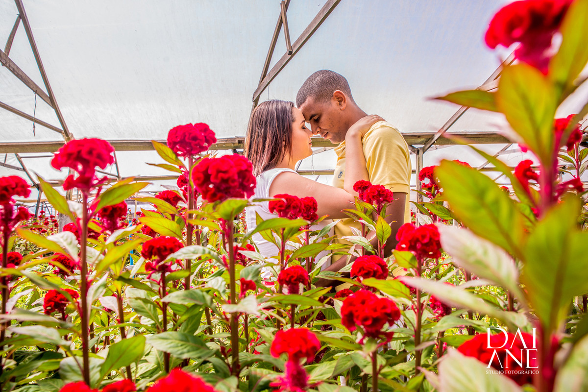 ensaio em holambra cidade das flores em são paulo, casal unido
