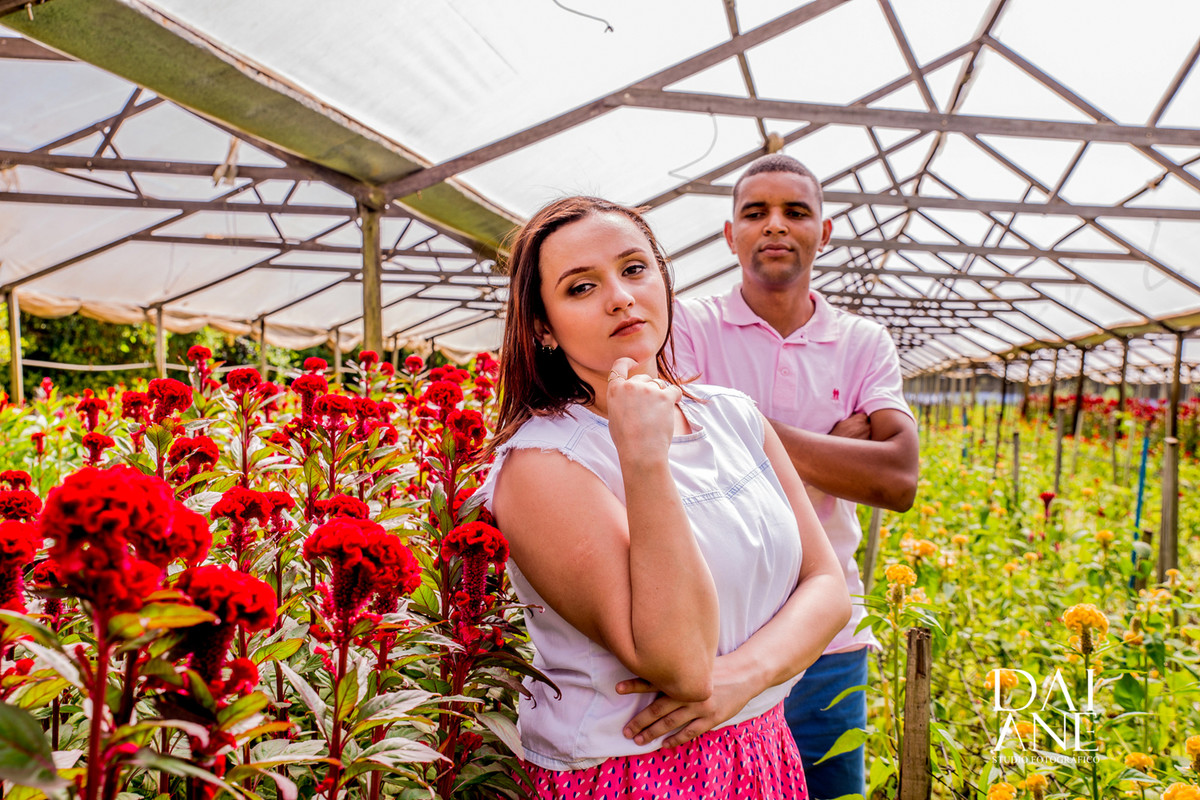 toda a emoção de um ensaio realizado em holambra cidade das flores