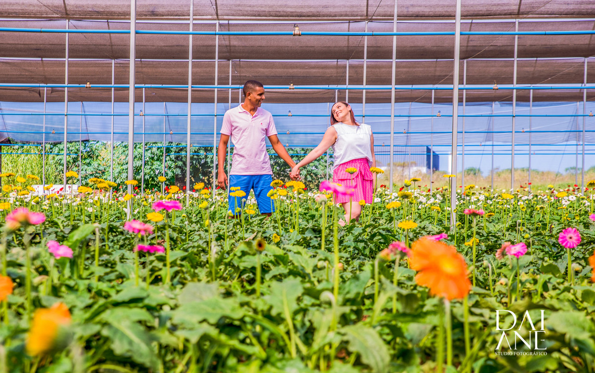 Casa em sintonia de mãos dadas