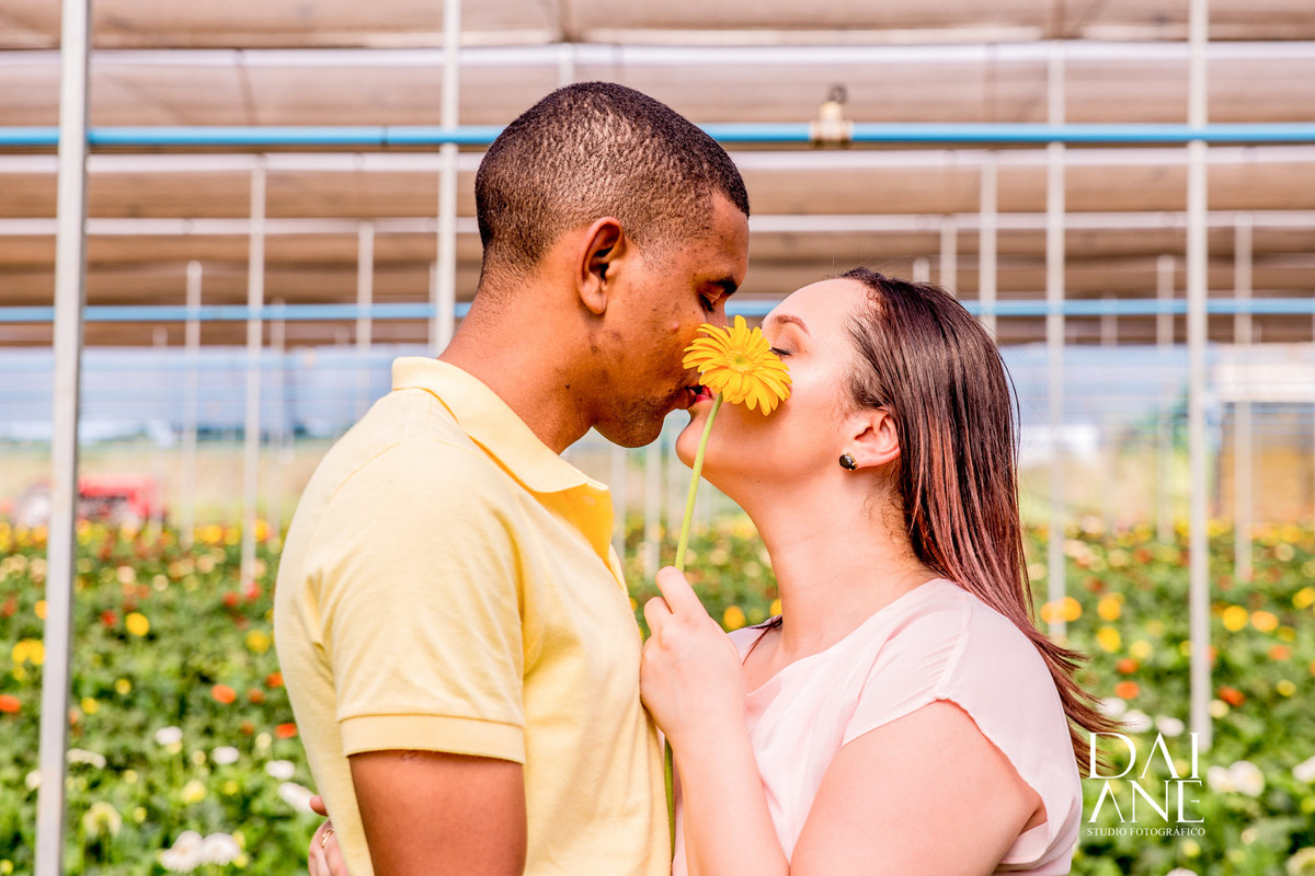 casal em seu ensaio em holambra juntinhos dão um beijo e tampa a cena com uma flor amarela