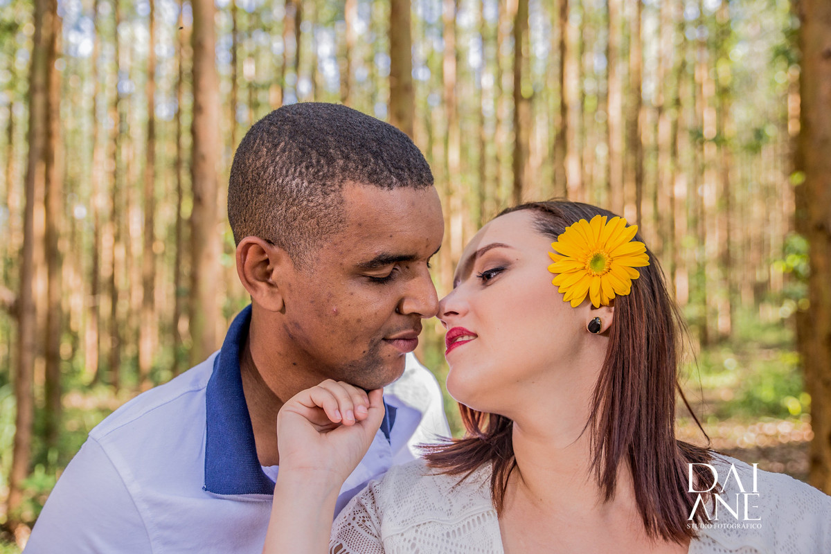 ensaio em holambra cidade das flores
