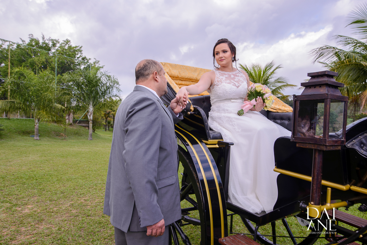 carruagem para casamento no campo 